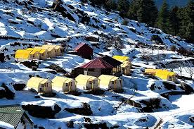 Auli Resort